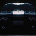 Chally eyes Bild ID 3509 Chally eyes Bild ID 3509